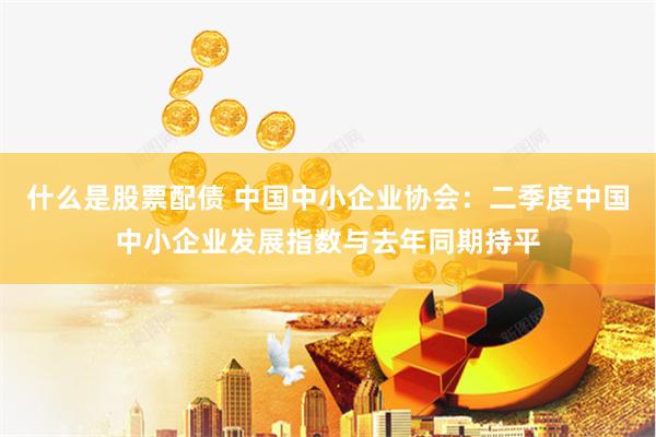 什么是股票配债 中国中小企业协会：二季度中国中小企业发展指数与去年同期持平