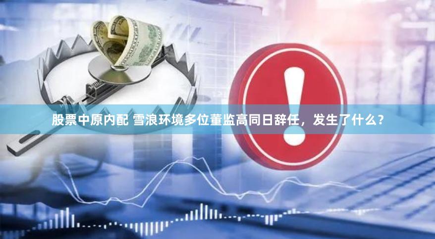 股票中原内配 雪浪环境多位董监高同日辞任，发生了什么？