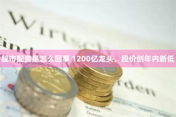 股市配资是怎么回事 1200亿龙头，股价创年内新低