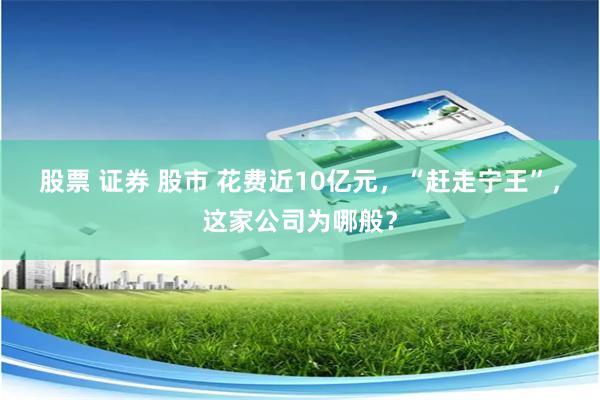 股票 证券 股市 花费近10亿元，“赶走宁王”，这家公司为哪般？