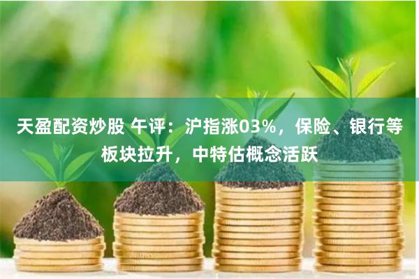 天盈配资炒股 午评：沪指涨03%，保险、银行等板块拉升，中特估概念活跃