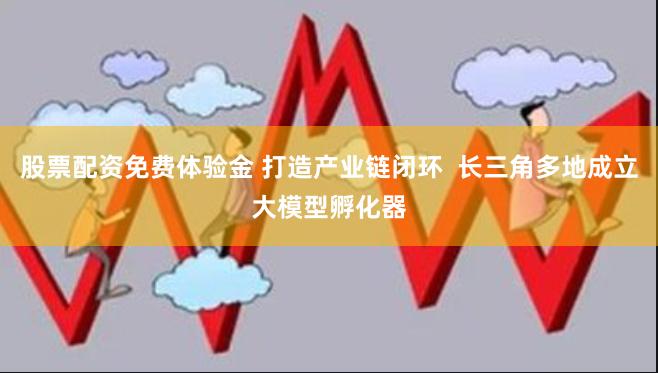 股票配资免费体验金 打造产业链闭环  长三角多地成立大模型孵化器