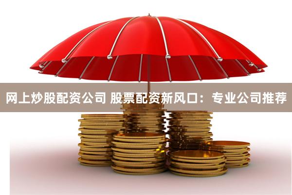 网上炒股配资公司 股票配资新风口：专业公司推荐